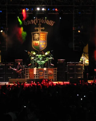 Dopethrone Tampa