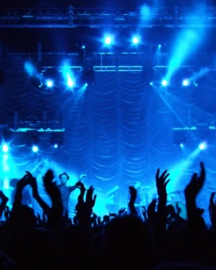 Pitbull Rave - Tribute Tampa