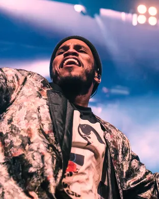 Anderson Paak Tampa