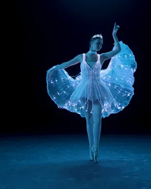 Ballet Of Lights Tampa
