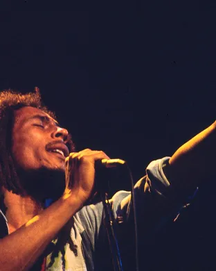 Bob Marley - Comedian Port Charlotte