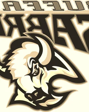 Buffalo Sabres Tampa