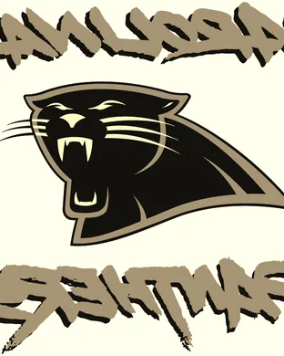 Carolina Panthers Charlotte