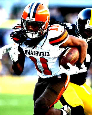 Cleveland Browns Tampa