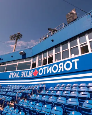 Dunedin Blue Jays Dunedin