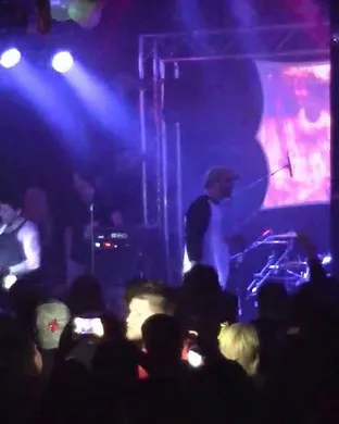 Flaw Tampa