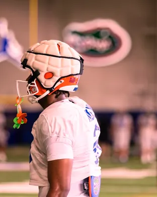 Florida Gators Tampa