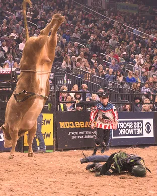 PBR - Professional Bull Riders Tampa