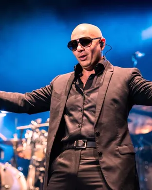 Pitbull Tampa