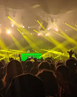 Shakewell Tampa