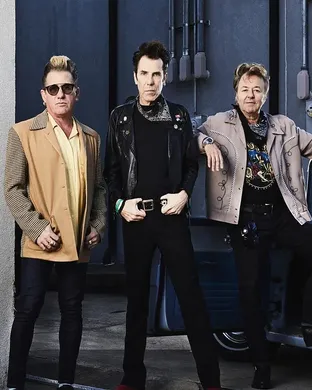 Stray Cats Clearwater