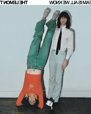The Lemon Twigs Tampa