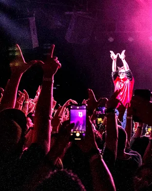 Weezer Tampa