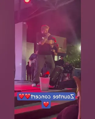 Zauntee Tampa