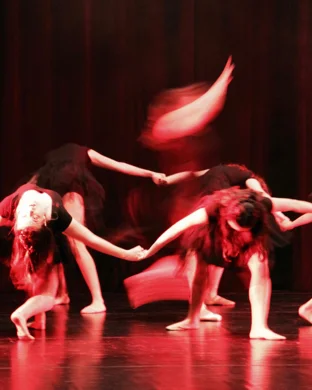 Burn The Floor Sarasota